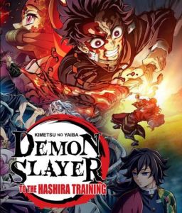 Demon Slayer: Kimetsu no Yaiba Hashira Training Arc