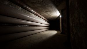 Backrooms: Escape Together