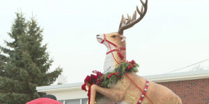 Prancer: A Christmas Tale